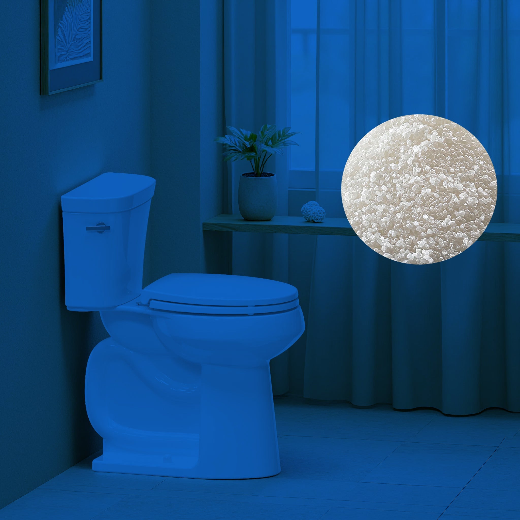 Plastic Toilet Seat