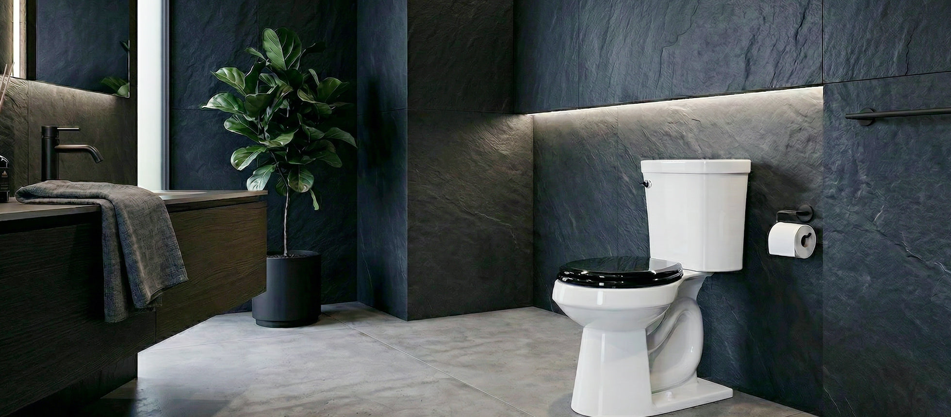 Premium Black Toilet Seats
